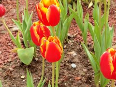 -苏州河梦清园环保主题公园