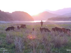 -罗田天堂寨风景区