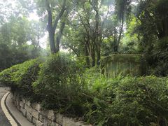 -采石矶景区