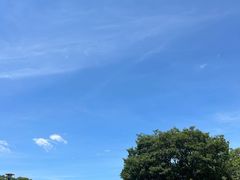 -名古屋城