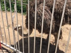 -河北村民俗体验园
