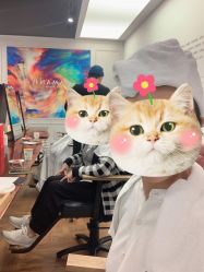 -程Studio