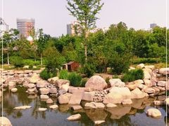 -莲花池公园