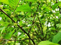 -沈阳辉山风景区