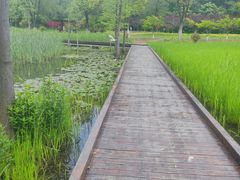 -昆山城市生态森林公园