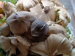 -三锅莊·牦牛肉火锅·香格里拉特色藏餐宴请餐厅(昆明创始店)