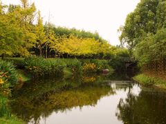 -共青国家森林公园-售票处