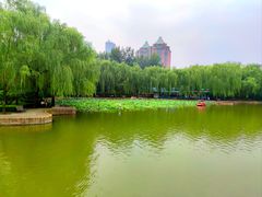 -团结湖公园