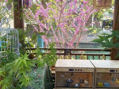 -蟠龙天地-P2停车场