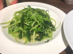 -金枝玉叶上海人家食府(三里河店)