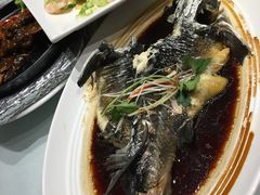 -正兴蜀园(科技园区店)