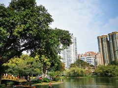 -晓港公园