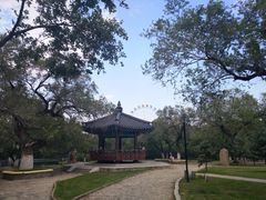 景点-龙沙公园