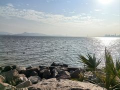-深圳湾公园(南山区)
