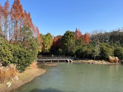-长广溪湿地公园