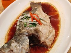 -红樱桃·新派辽菜(北行店)