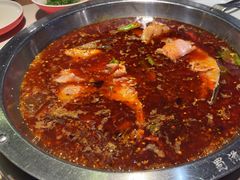-蜀滋香鲜鱼美蛙火锅(339店)