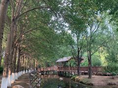 -沈阳鸟岛