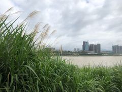 -汉江公园