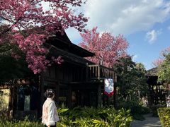 -云南民族村