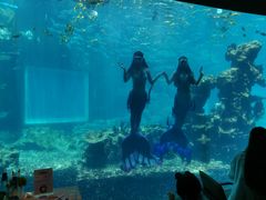 -海棠湾洲际-涛·海底餐厅·美人鱼·自助餐·海底隧道