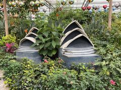 -南宫五洲植物乐园