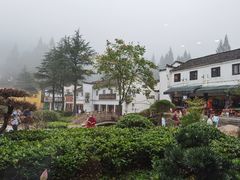 -曾福兴