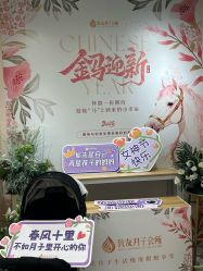 -致友月子会所(麓湖店)