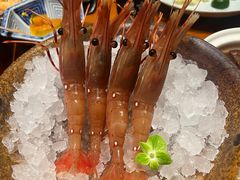 -月龍吟(朝龙汇店)
