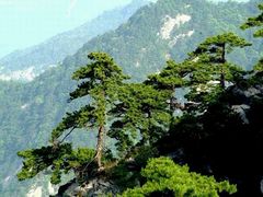 -罗田天堂寨风景区