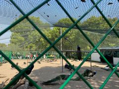 -苏州上方山国家森林公园