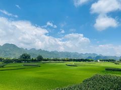 -万峰林风景区
