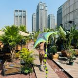 别问了就在南京！超出片的天台咖啡！