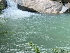 -广州白江湖森林公园