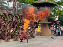 -大连海昌发现王国主题公园