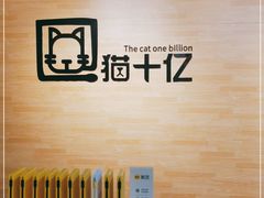 -猫十亿·布偶金渐层·曼基康矮脚猫舍(青年路店)