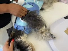 -全心全意动物诊疗中心医院(北苑店)