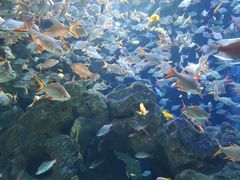 -成都浩海立方海洋公园