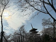 -东湖生态旅游风景区