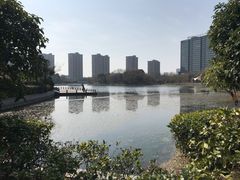 -杭州城北体育公园