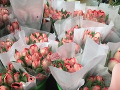 -循礼门鲜花花市(武汉循礼门店)