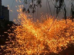 -海合安武汉极地海洋公园