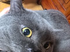 -纳吉亚猫专科动物医院博雅分院