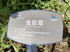 -国家植物园南园