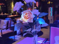 -胡桃里乐队酒馆(广州塔店)