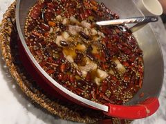 -渝信川菜 · 川味家常菜(财富购物中心店)