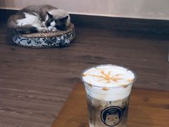 -楼上猫咖(罗湖店)