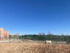 -鄂尔多斯野生动物园