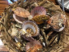 -蚝堡海鲜·威海菜·海肠捞饭·烧烤·亚洲吃蚝公司(幸福门店)