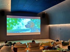 -涨巢·潮玩水疗局